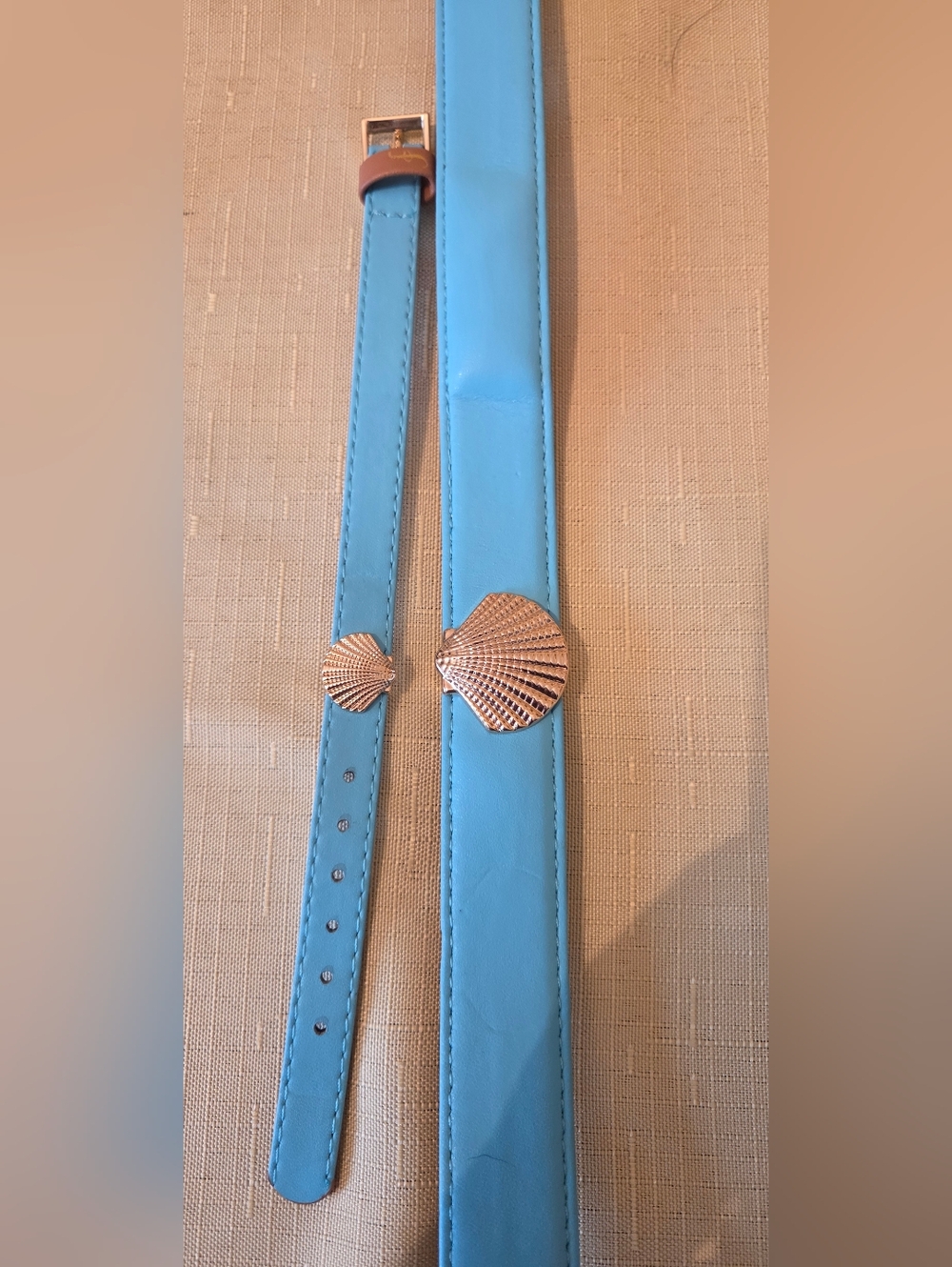 Friendshipcollar Dog Collar Blue with Gold Shell Buckle & Matching Bracelet